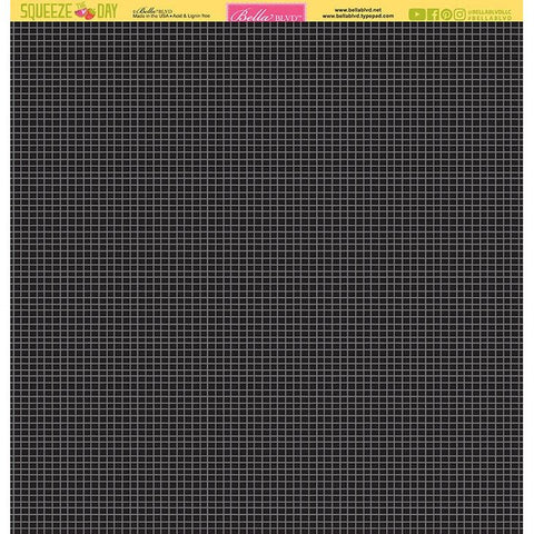 Bella Blvd - Squeeze The Day - 12x12 Single Sheets - Squeeze The Day Daily Details / BB2115