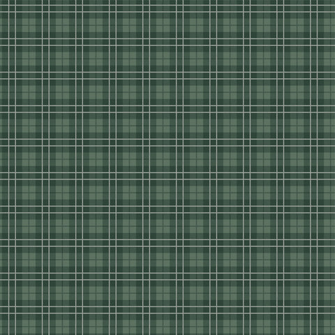 Carta Bella - Best In Show - 12x12 Single Sheet / Champion Plaid